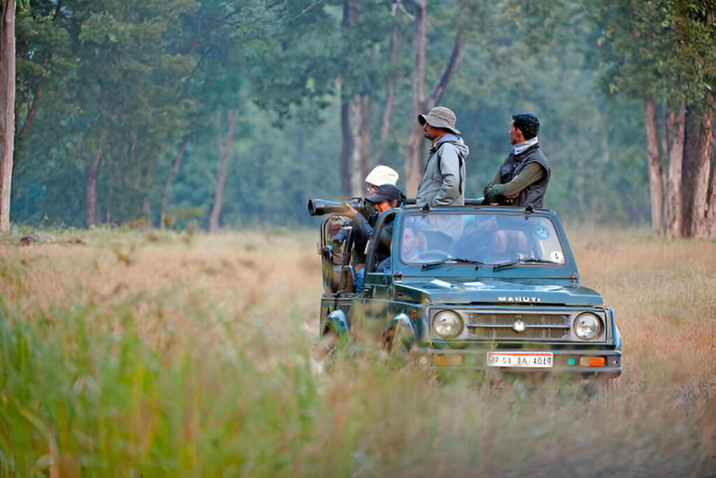 SAFARI ZONE IN KANHA NATIONAL PARK
